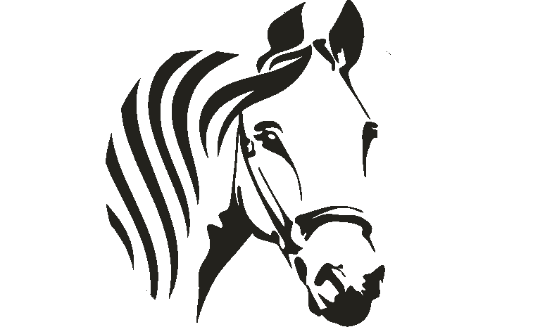 horse