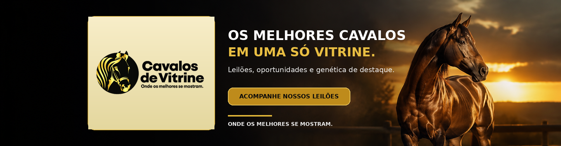 Padrão Cavalos de Vitrine