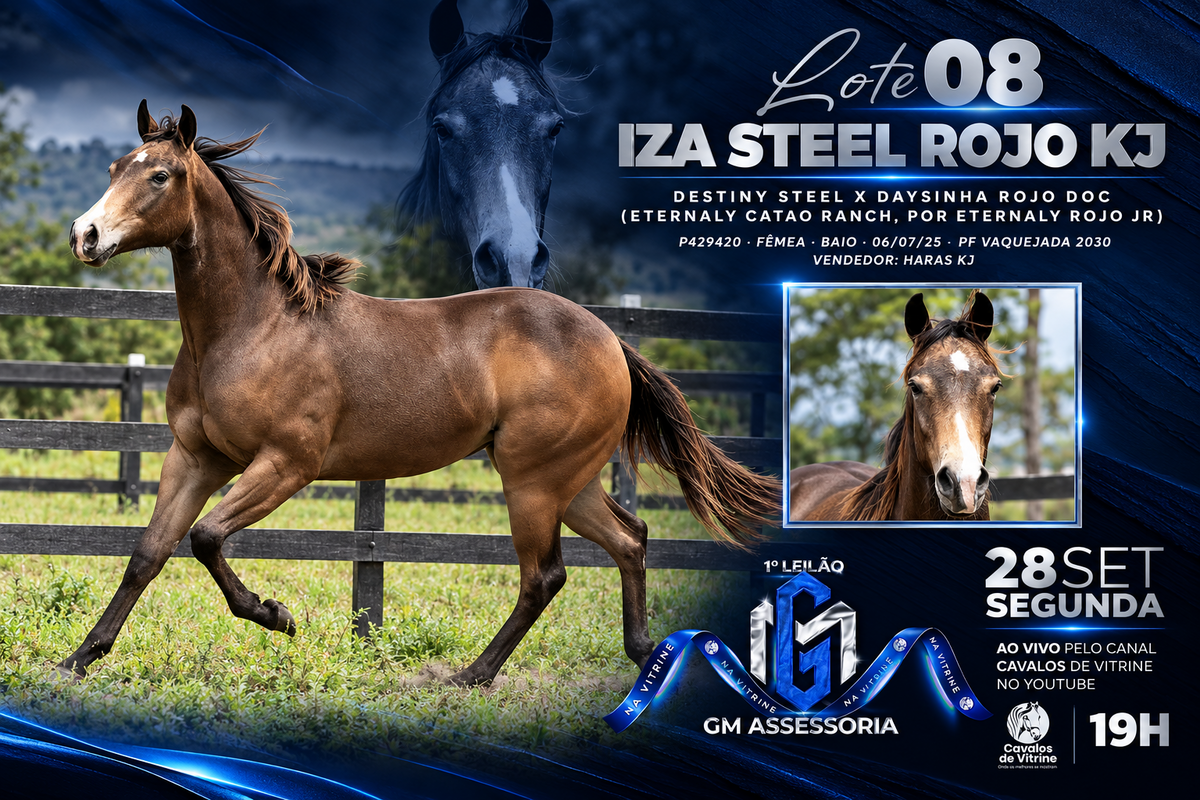 IZA STEEL ROJO KJ