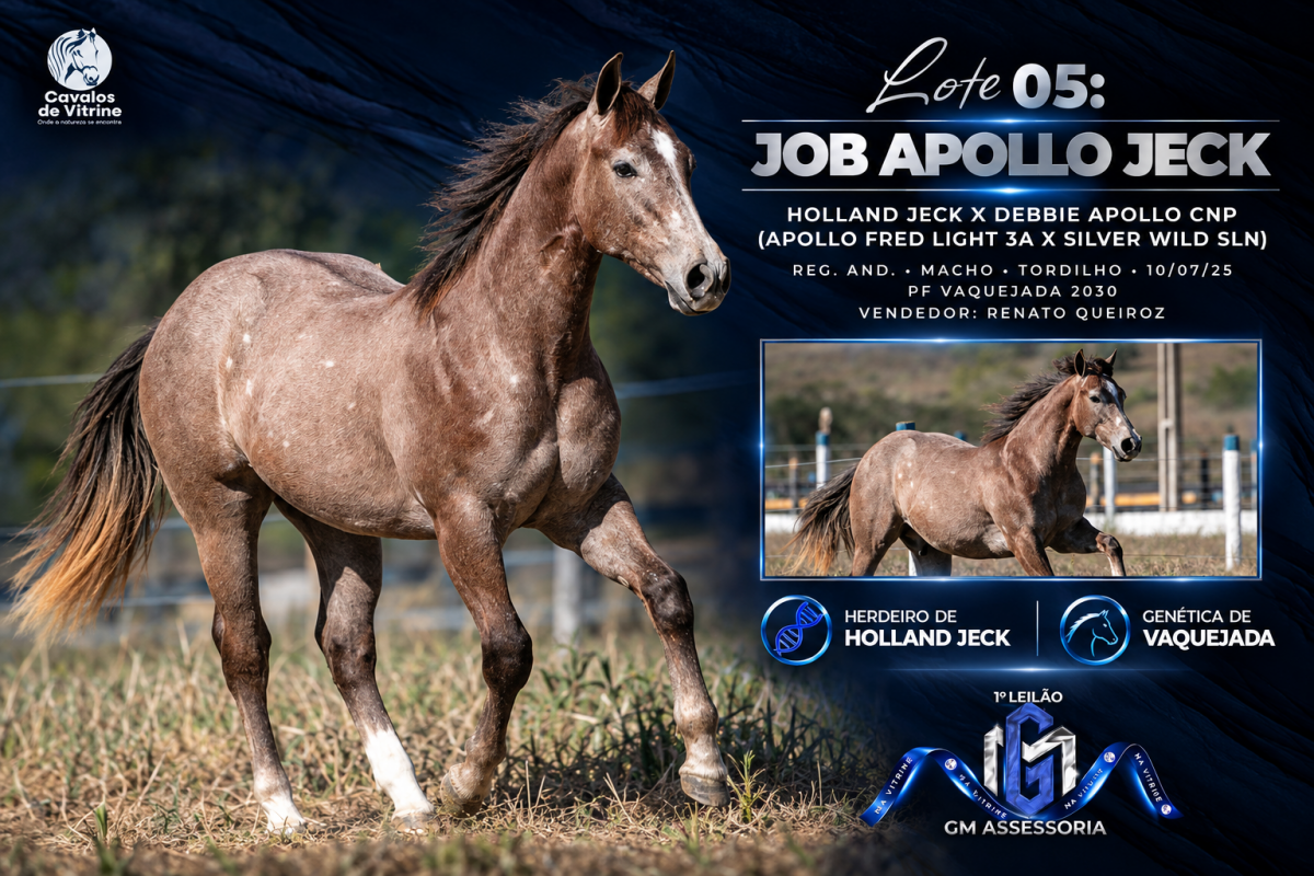 Job Apollo Jeck