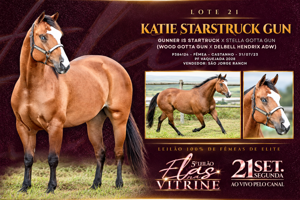 KATIE  STARSTRUCK GUN