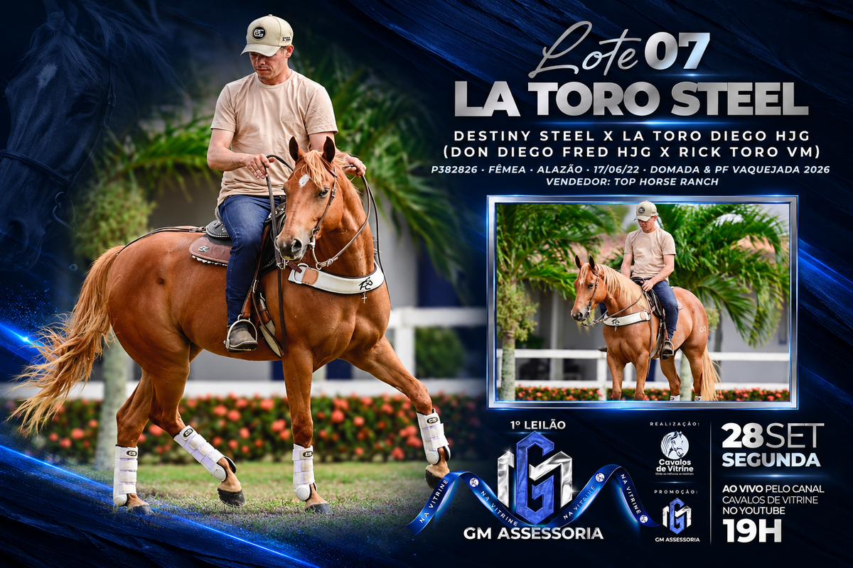 La Toro Steel