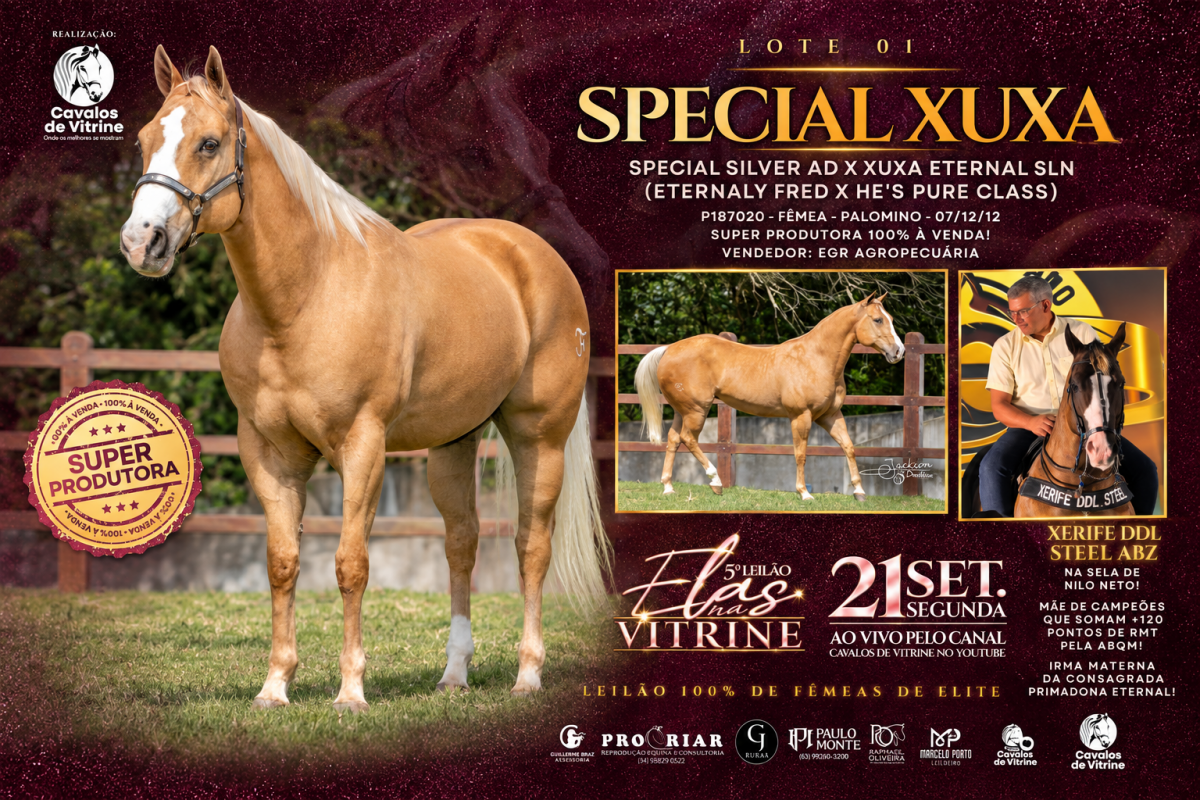 Special Xuxa