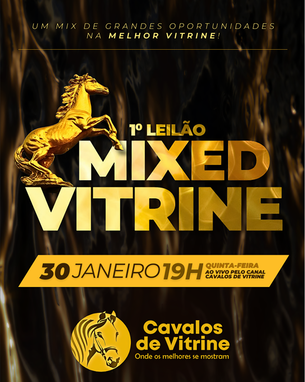 1º LEILÃO MIXED VITRINE
